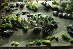 1973-Stellung-neu-015-3-Kopie