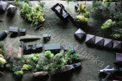 1974-Stellung-neu-015-2-Kopie